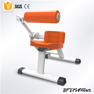 后背伸展訓練器