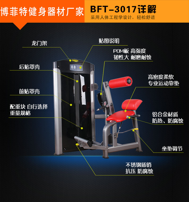 后背伸展訓練器