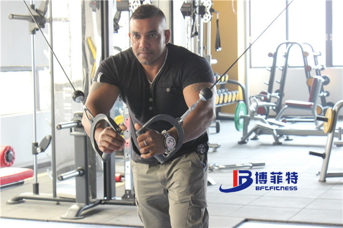 大飛鳥(niǎo)龍門架健身